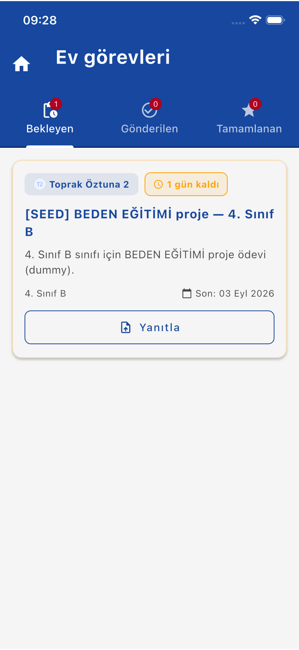 Ev görevleri